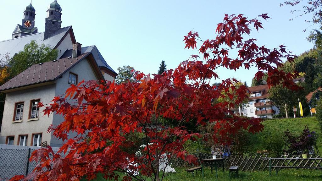 Europaeisches Gaeste- Und Seminarhaus Todtmoos Exterior photo